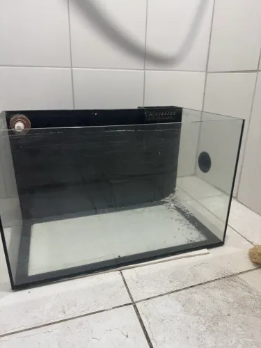 aquário 