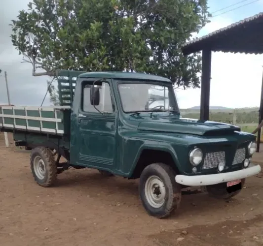 Ford F-75 4X2 2.6 V12 1975