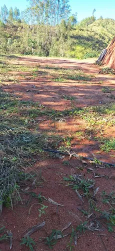 Terreno de 1 Hectare em Santa Teresa/ES Platô, Água, Energia e Vista Maravilhosa.