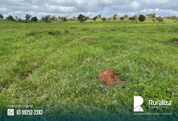 FAZENDA 66 ALQUEIRES | SOLO COM +40% DE ARGILA | 200 HA AGRICULTÁVEIS