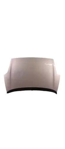 CAPO FIAT PUNTO 2012