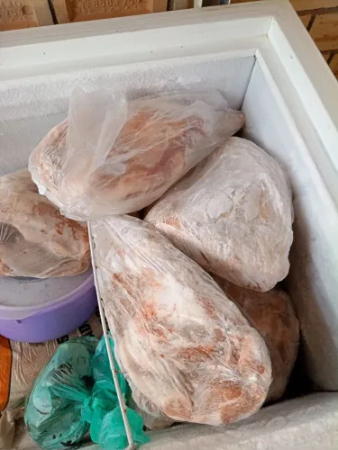 Vendo pernil de porco caseiro 25 reais ao kg