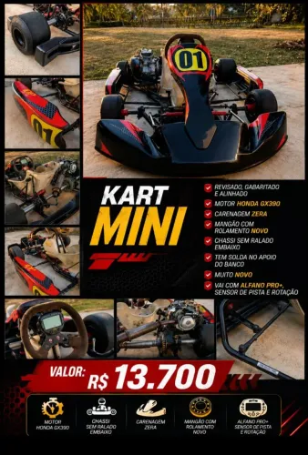 Kart profissional