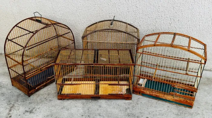 4 Gaiolas a venda em Bom Estado
