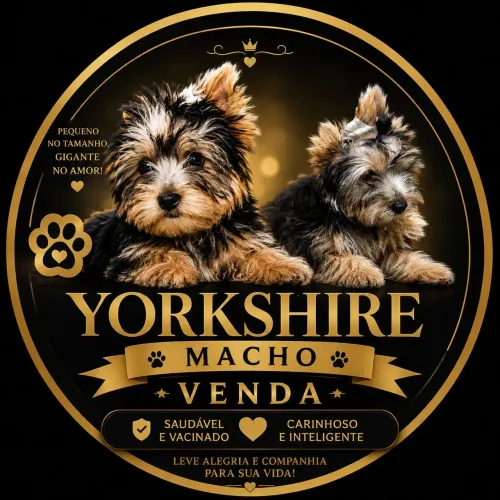 VENDO YORKSHIRE 
