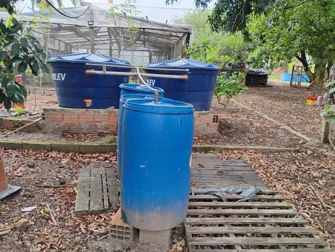 Sistema de criação de tilápia em Caixa d'água 