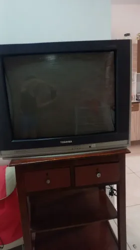 Tv de tubo Semp Toshiba 29 polegadas