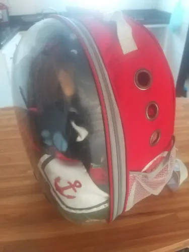 PRA SAIR HOJE BOLSA DE PET VERMELHA DESAPEGO