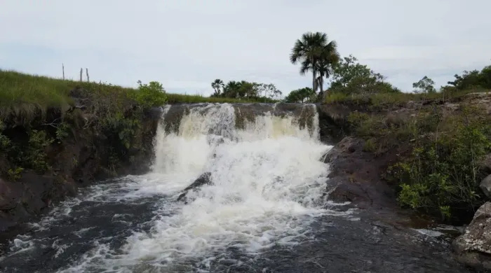 Imóvel rural,  m² no Zona Rural em Lagoa do Tocantins