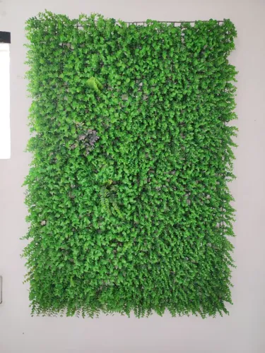 Muro Verde decoração 