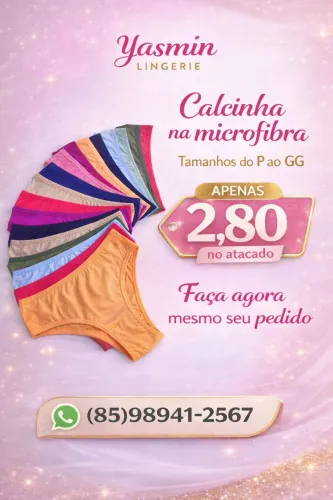 Calcinhas na microfibra PMG GG