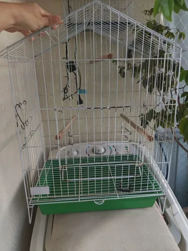 Gaiola para calopsita