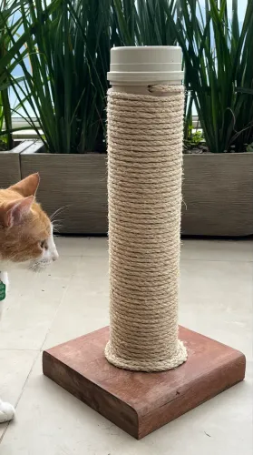 Arranha gato