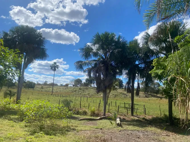 ? VENDE-SE - CHÁCARA VIDA NOVA