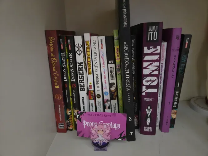 Lote de mangás e Novels
