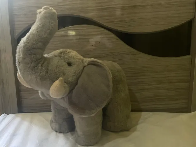 Elefante pelúcia