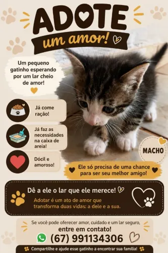 Adoção responsável