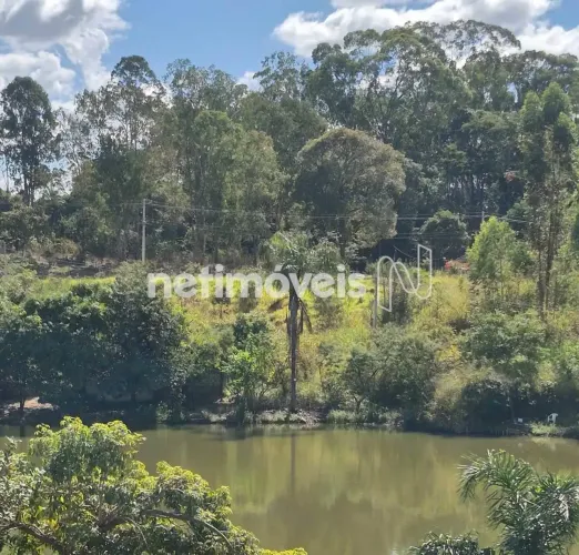 Venda Lote-Área-Terreno Natividade Florestal