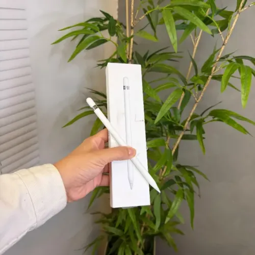 Apple Pencil 1ª | 6 Meses Garantia | Loja Física | Até 18x