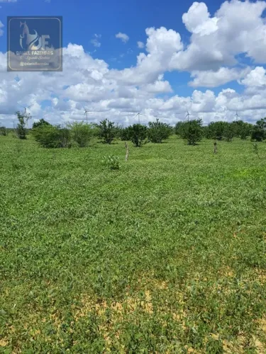Excelente Fazenda com 45 hectares em Jandaira