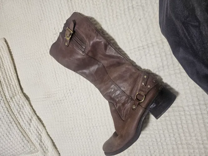 Bota