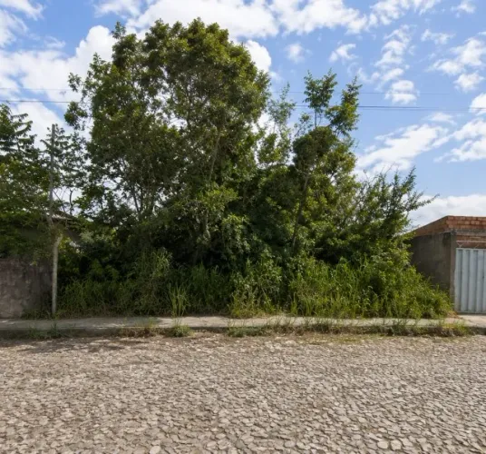 LOTE 363m² - À VENDA EM JEQUITIBÁ/MG - 5 min do Centro e da Lagoa | R$ 55 mil