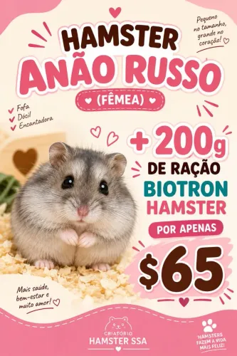 Promoção Hamster anão russo + raçao