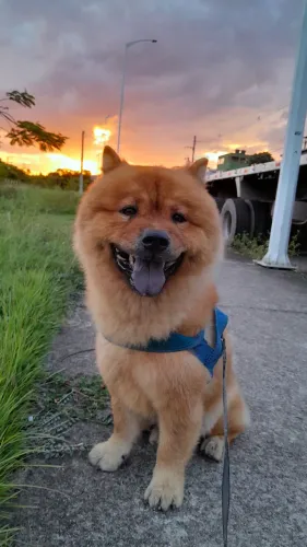 Doação 