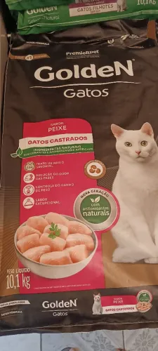 ração Golden gatos