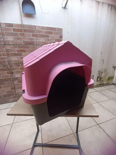 Casa pet