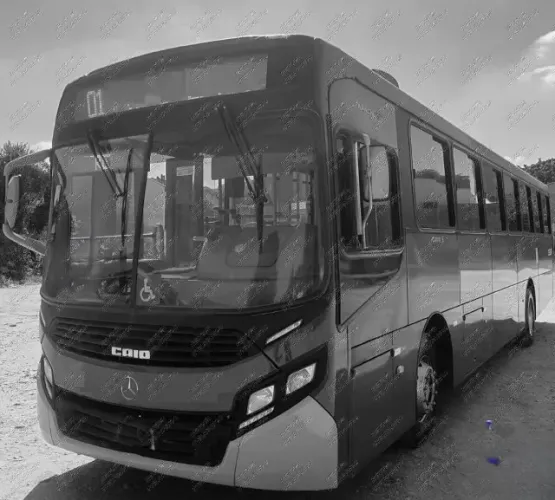 Onibus Urbano 1721  2014