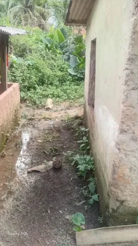 Casa na grota