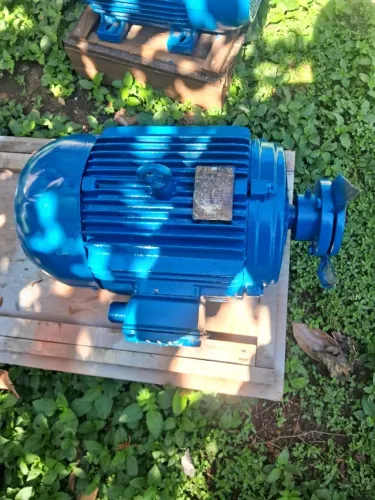 Motor 20 cv de baixa rotação trifásico