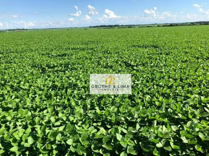 Fazenda à venda na região de Montividiu, Goiás