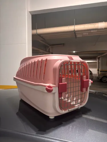 Casinha de Cachorro para transporte