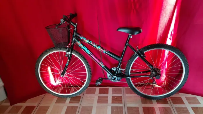 Vendo bicicleta 650,00