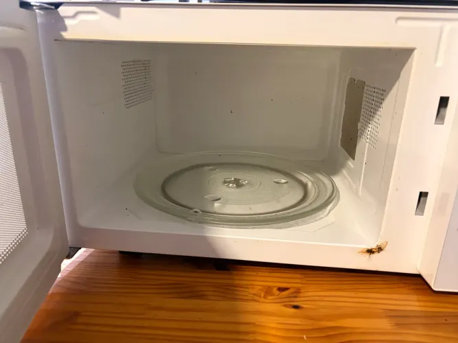 Microondas