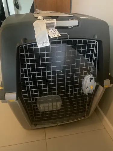 Caixa transporte pet