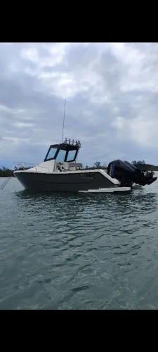Top boats,top fish 767 ecoforce