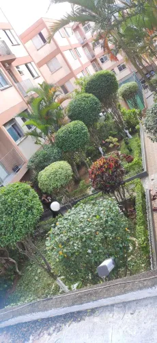 Jardinagem Profissional em São Paulo | Poda e Jardinagem