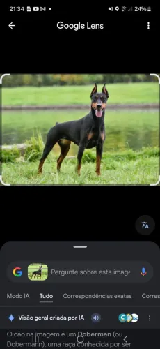 Procurando uma Namorada