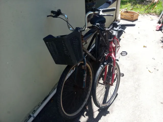 Baik usadas detalhes