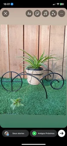 Suporte para Plantas.