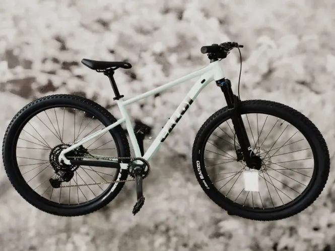 Bicicleta aro 29