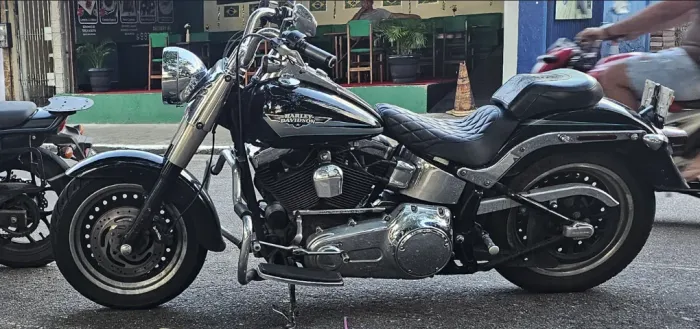 harley davidson fatboy 2009 fat boy