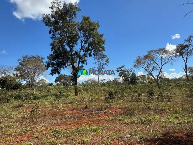 FAZENDA À VENDA - 67 HECTARES - CURVELO (MG)