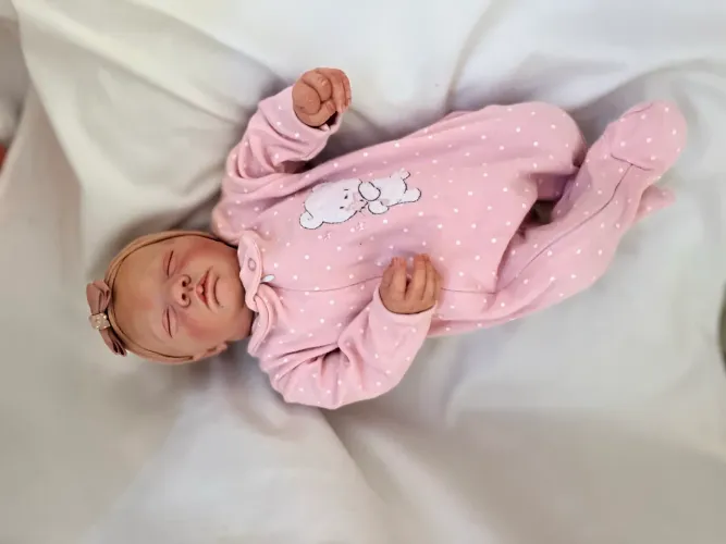bebê Reborn