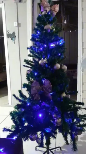 Árvore De Natal Nova 