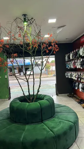 Sofá Redondo Ilha em Veludo Verde - Perfeito para Loja ou Recepção