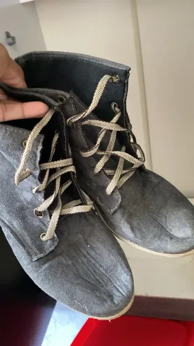 Bota
